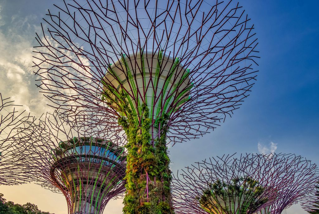 The Supertree Grove in gardens by the bay Singapore