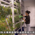 Singapore Government Support Boosts Local Farms and Job Opportunities