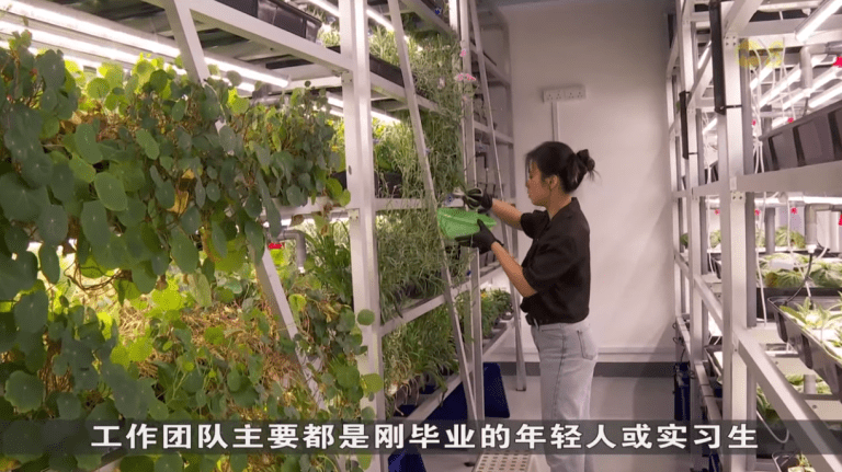 Singapore Government Support Boosts Local Farms and Job Opportunities
